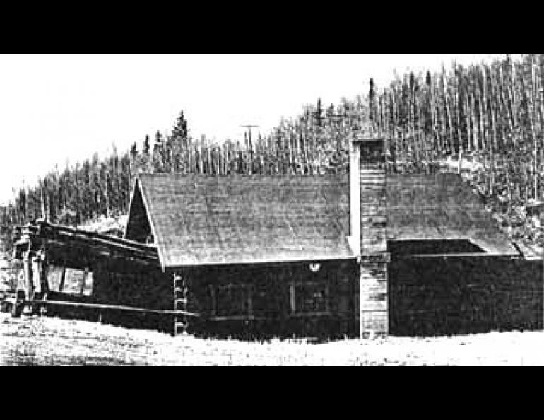 The Old Richardson Roadhouse near Black Rapids during the late 1940's. Note how the heated portion of the building has settled uniformly into the ground without even damaging the chimney, while the unheated porch has remained at the original ground level and has been torn loose. (Photo courtesy of CRREL, the U.S. Army corps of Engineers.)