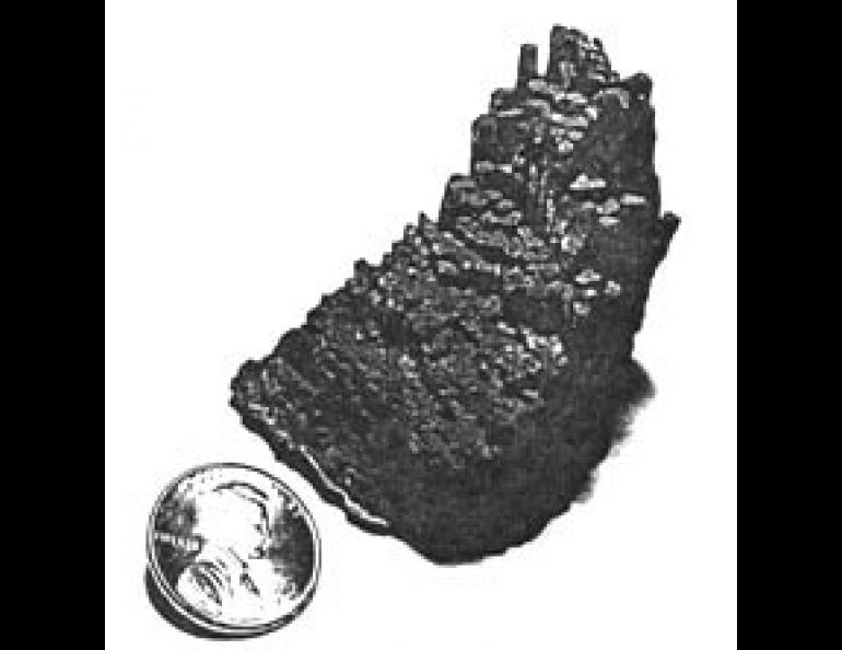 Small columnar jointing example.