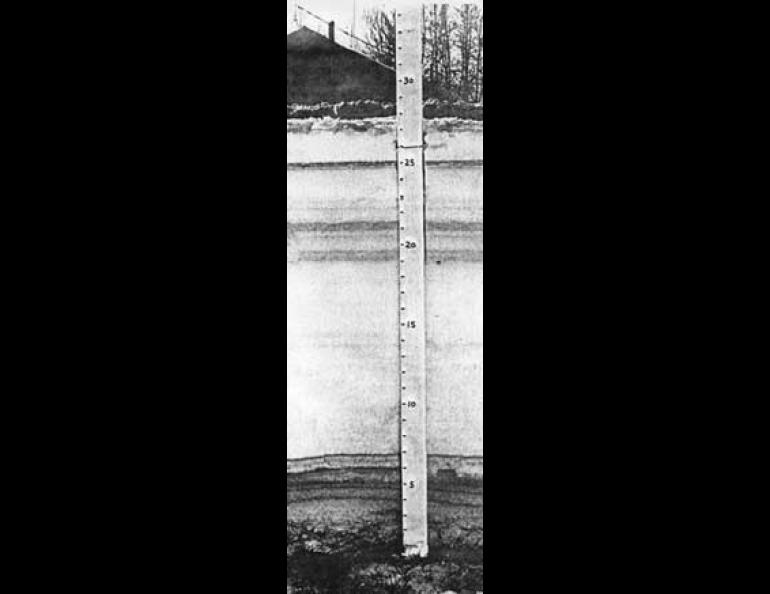 The photograph, a cross section which was cut in the snowpack in an undisturbed area along Airport Way, shows the layers in this winter's snowpack in Fairbanks. The marks on the yardstick are in inches. Dust in the air caused by traffic on the heavily traveled road settles on the snow, and dark bands develop during periods where there is a very light snowfall or none at all.