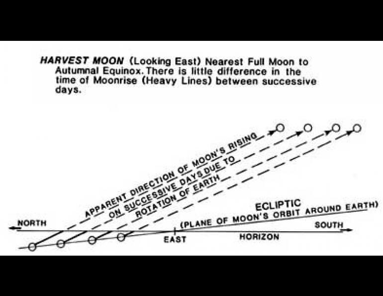 Alignment graphic 1