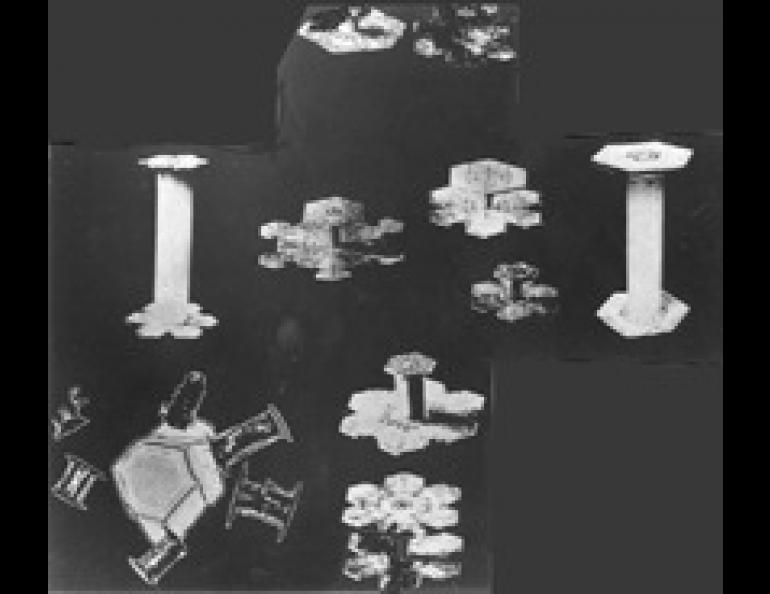 An assortment of "cufflink" snow crystals, greatly magnified. These were photographed in Vermont, but similar forms are common in fine, powdery snow in Alaska. (From the book Snow Crystals by W. A. Bentley and W. J. Humphreys.)