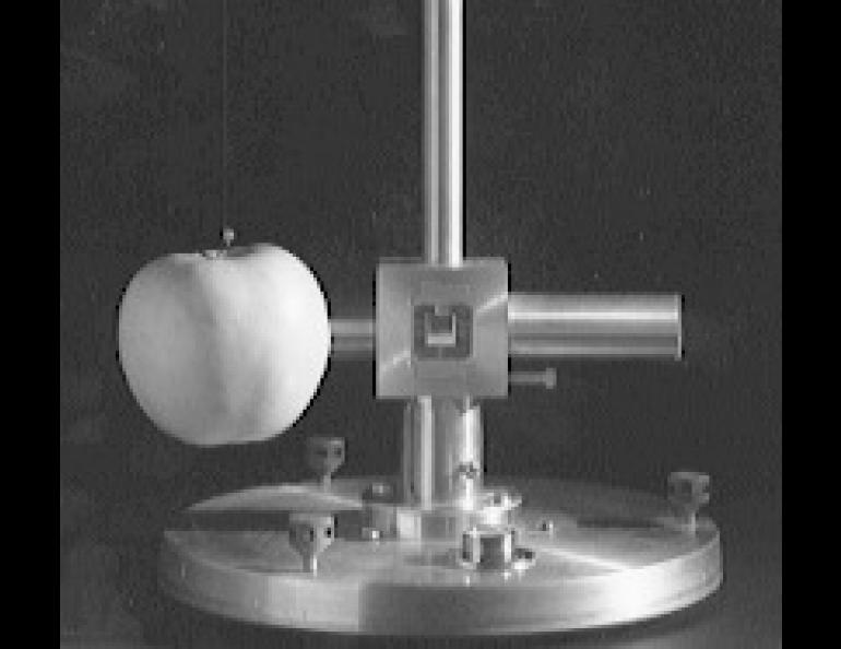 A Cavendish torsion balance, manufactured at the University of Alaska. An apple is serving as the attracting mass.