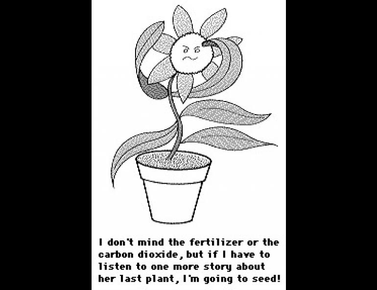 Flower Image