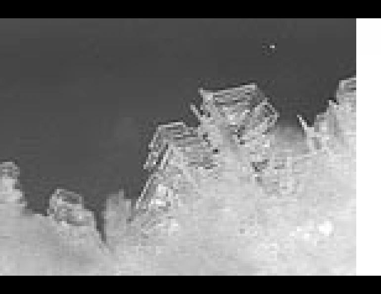 Hoarfrost crystals. The center crystal is about three-eighths of an inch across.