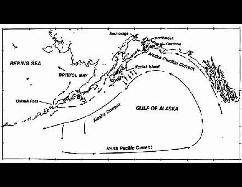 Oil from the recent spill in Prince William Sound may someday return to Prudhoe Bay. That Alaska Coastal Current plays an important role in how the oil will move through Alaska's waters.
