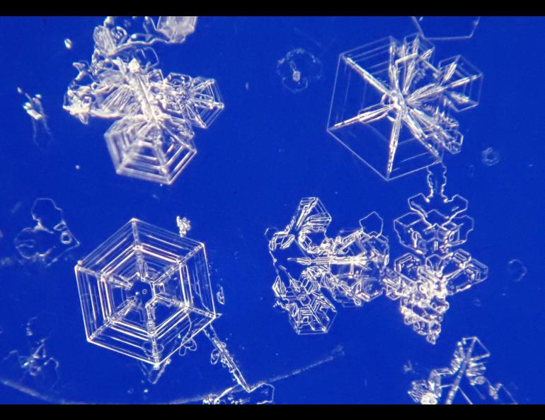 B. Matthew Sturm captured these images of snow crystals falling in a Dec. 26, 2021, storm in Fairbanks. Their shapes correspond to different temperatures and humidity within the cloud that formed them. Matthew Sturm photos.