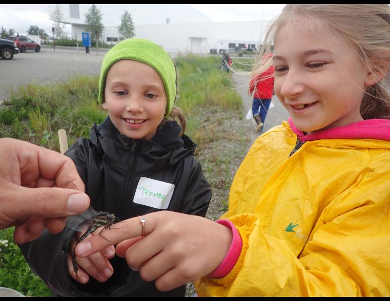  Trinitey Landry and Anna Rozell watch a dragonfly caught at UAF Summer Sessions Bug Camp on the UAF campus.