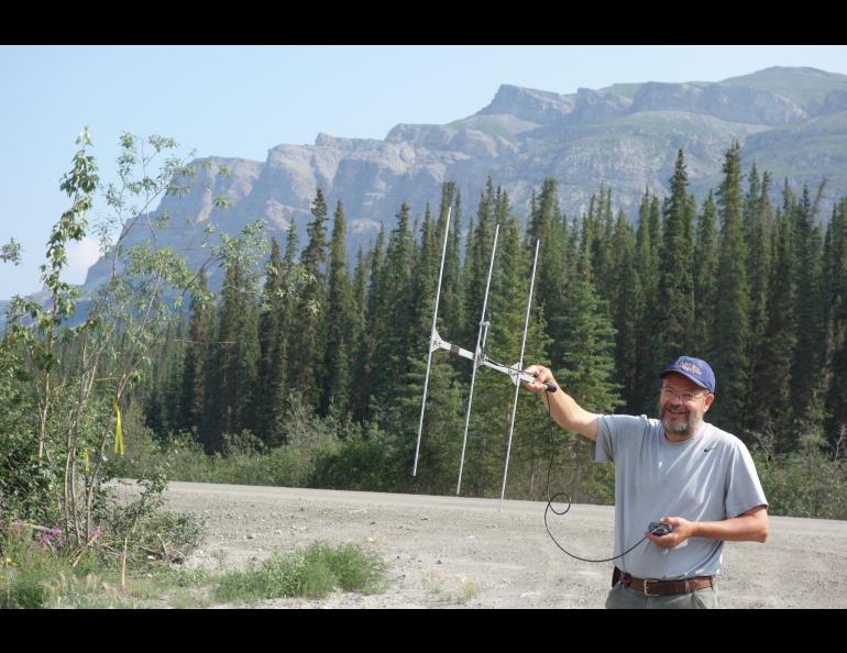 UAF professor Knut Kielland listens for radio-collared snowshoe hares north of Coldfoot on the Dalton Highway in July 2017. Photo by Ned Rozell.