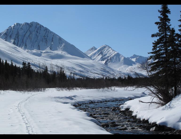 Denali has the clearest air of any monitored U.S. national park. Ned Rozell