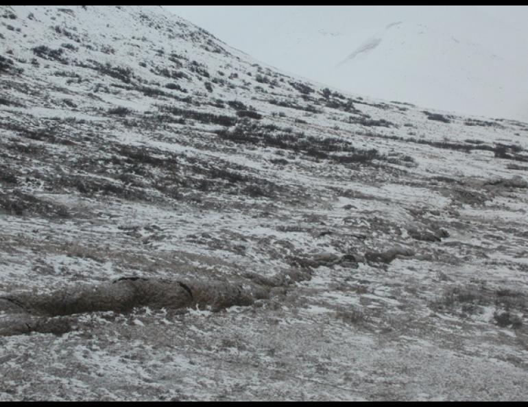 The trace where the Susitna Glacier fault expressed itself on land. Geologists Peter Haeussler and Patty Craw discovered the fault one week after the Denali fault earthquake of Nov. 3, 2002. Photos courtesy of Peter Haeussler, U.S. Geological Survey