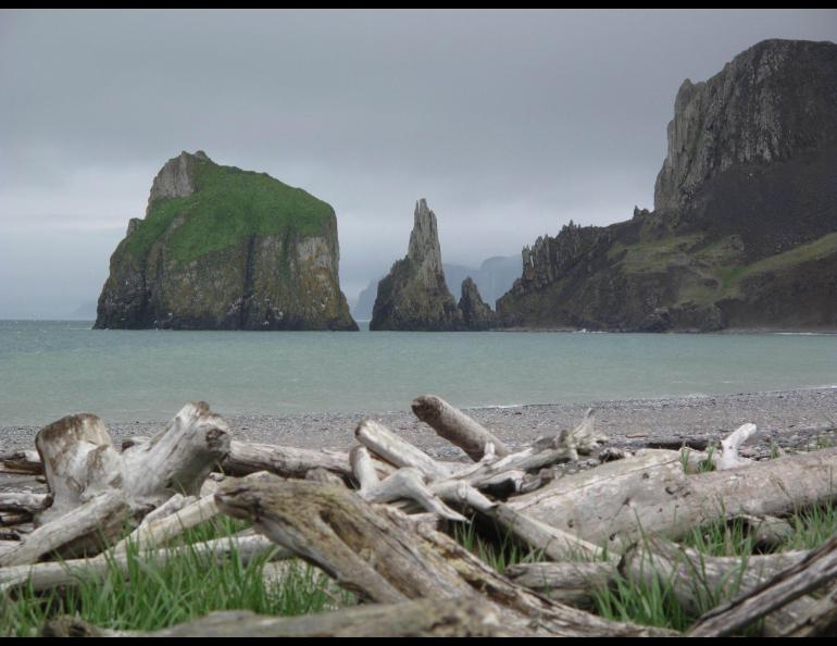 Bull Seal Point, on St. Matthew Island. Photo by Ned Rozell.