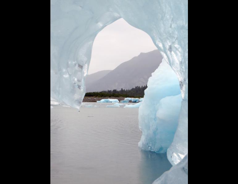 Ice like this in Glacier Bay is among the fresh water flowing from land to sea in southern Alaska. Photo by Joanna Young.