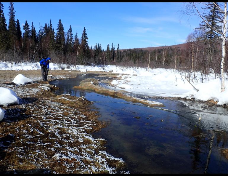 Kanuti Hot Springs with Forest Wagner. Photo by Ned Rozell.