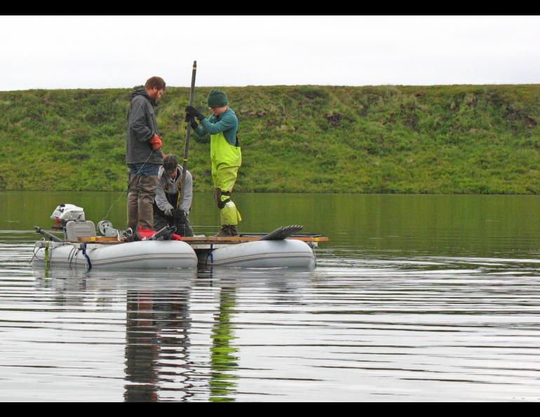 Researchers working with ecologist Nancy Bigelow pull a sediment core from a deep lake in western Alaska near Shishmaref, looking for pollen preserved from the days of the Bering Land Bridge. photo by Nancy Bigelow. 
