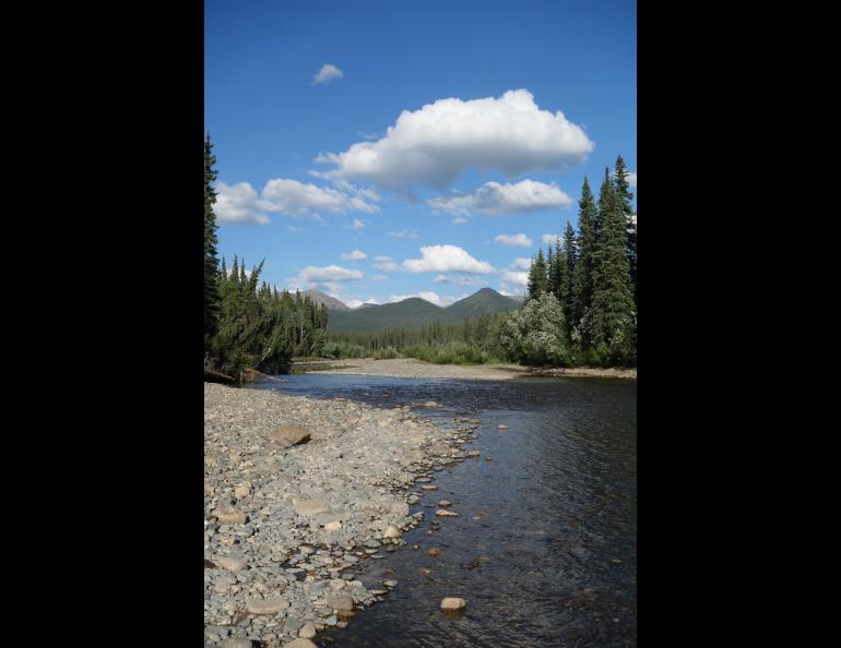 The Jim River in northern Alaska. Photo by Ned Rozell.