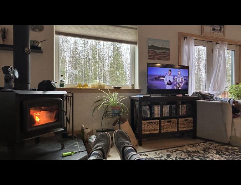 A scene inside a house with a woodstove, windows and a TV screen.