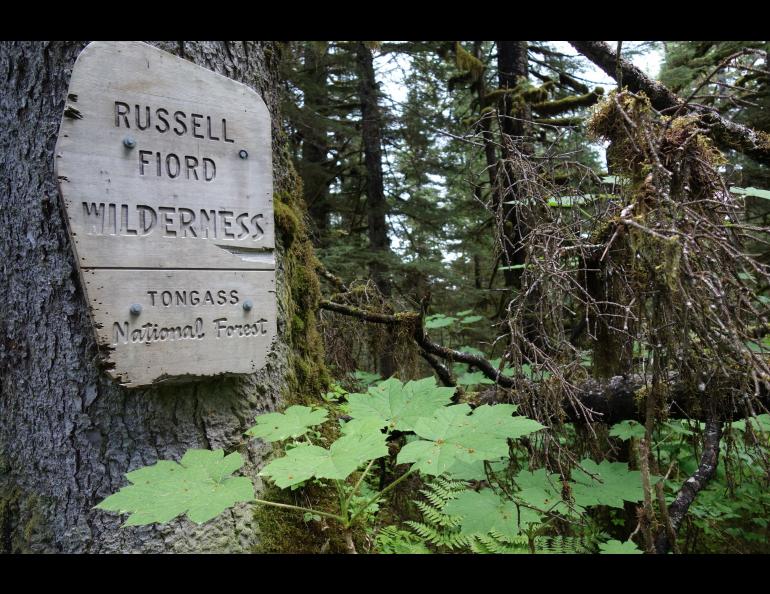 The Russell Fjord Wilderness is a wishbone-shaped 348,701-acre buffer zone around Russell Fjord and Nunatak Fjord near the town of Yakutat. Photo by Ned Rozell.