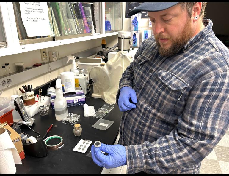Nathan Graham, director of the UAF Geophysical Institute’s Advanced Instrumentation Lab, holds a mounted sample of Mount Spurr ash in a laboratory filled with sample containers, tools and other equipment. The ash will be analyzed with a scanning electron microscope.