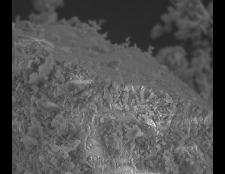 A grayscale scanning electron microscope image at 800× magnification shows a plagioclase mineral grain from Mount Spurr ash in shades of light and medium gray against a dark gray background. A smoother, lighter-gray crystal cleavage surface is visible near the top.