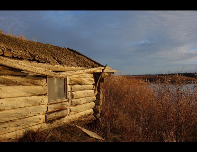 A cabin remaining at the site of Shuman House on the Porcupine River. Photo by Ned Rozell. 