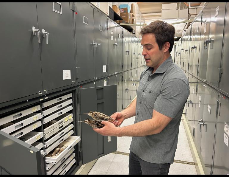 Person holding bird specimens