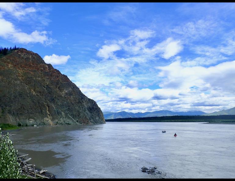 The Yukon River at Eagle, Alaska, in summer 2019. Photo by Ned Rozell.