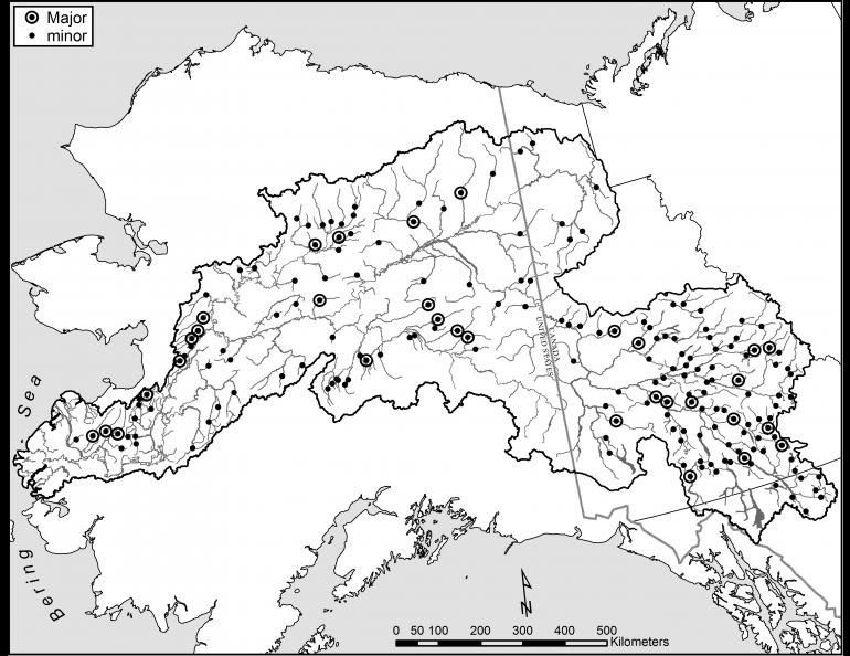 A map of the Yukon River drainage showing major and minor spawning grounds of chinook salmon.