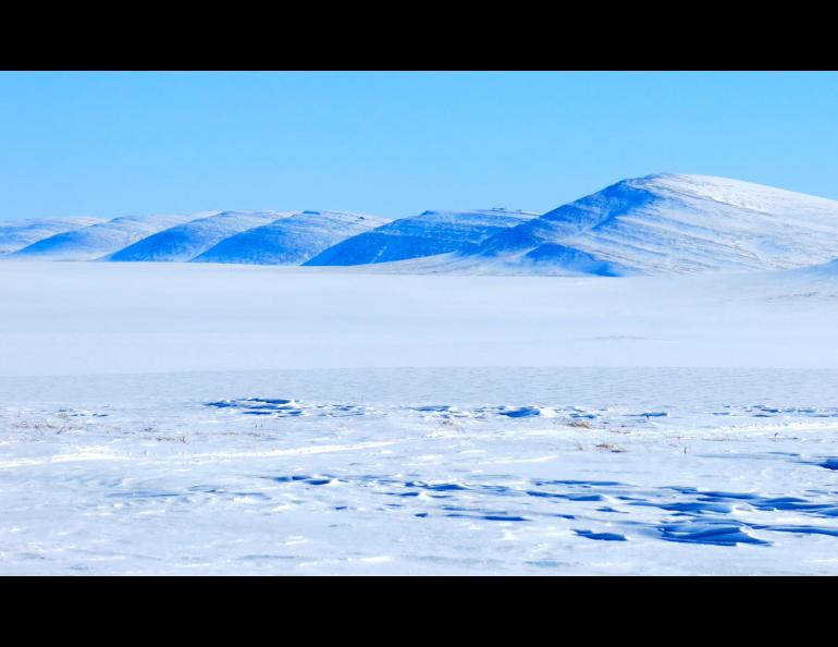 An Arctic landscape north of the Brooks Range. Many scientists talked about "Arctic amplification" of warming signals at the fall meeting of the American Geophysical Union in San Francisco. Photo by Ned Rozell.
