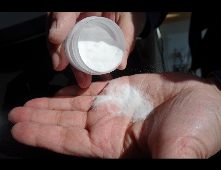 Powdered glass “microspheres” researchers are proposing to sprinkle on sea ice to increase its reflectiveness. Photo by Ned Rozell.