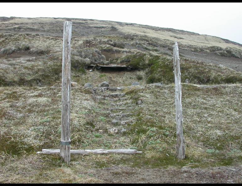 One of six Shinto shrines on Kiska Island, a remnant of 14 months of Japanese occupation of the island in World War II. Photo by Ned Rozell.