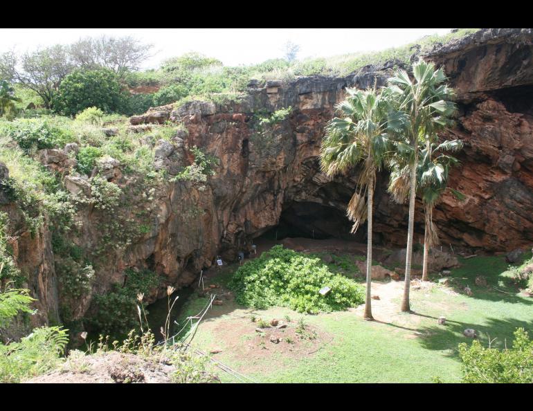 A different angle of the same sinkhole. 