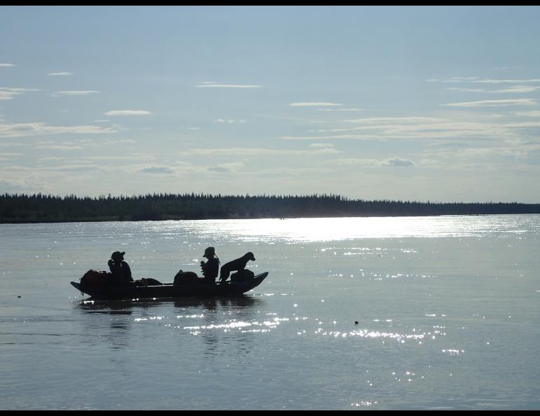 The middle Tanana River, as quiet now as it was a century ago. Photo by Ned Rozell.