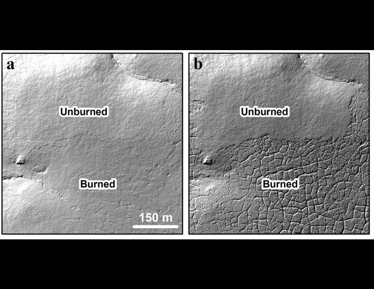Black-and-white landscapes made from LIDAR data that show the new texture of the Anaktuvuk River burn site due to thawing after the 2007 fire. These images show the contrast to an adjacent area that did not burn. The first image is from 2009, the second from 2014. Images courtesy of Ben Jones.