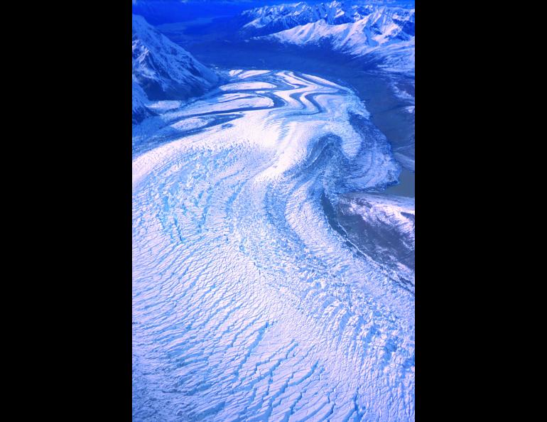 The cracked surface of Yanert Glacier is a sign of its recent surge. photo by Keith Echelmeyer