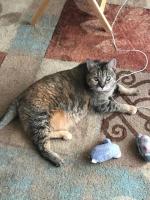 Lynda McGilvary's Trouble is caught in the act—and she’s not sorry!