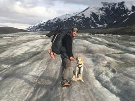 Sean Regan and Cobalt the geologizing dog crossing the Canwell Glacier, which sits on the Denali Fault. Follow Cobalt on Instagram at @gneisslabs!