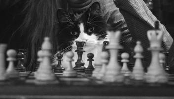 Yolanda, queen incarnate, dominating a game of chess against Lynn Kaluzienski, GI Visiting Scholar.