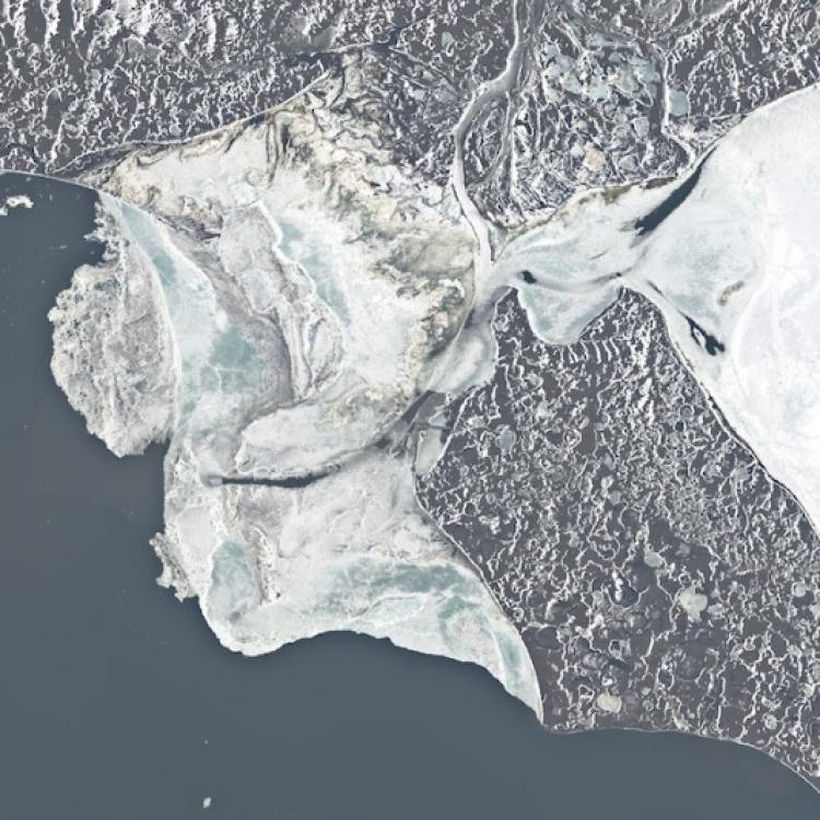 Sea Ice Remote Sensing