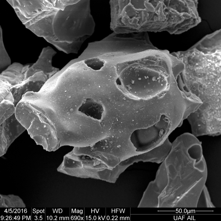 Backscattered electron (BSE) images of ash from the March 2016 eruption of Pavlof Volcano, Alaska by Pavel Izbekov. This photo shows vesicular (bubbly) texture of fine-grain size (~100 microns), glassy ash produced in the explosive eruption. The ash cloud from this eruption caused disruptions in air traffic, and ash fall affected communities downwind of the volcano.