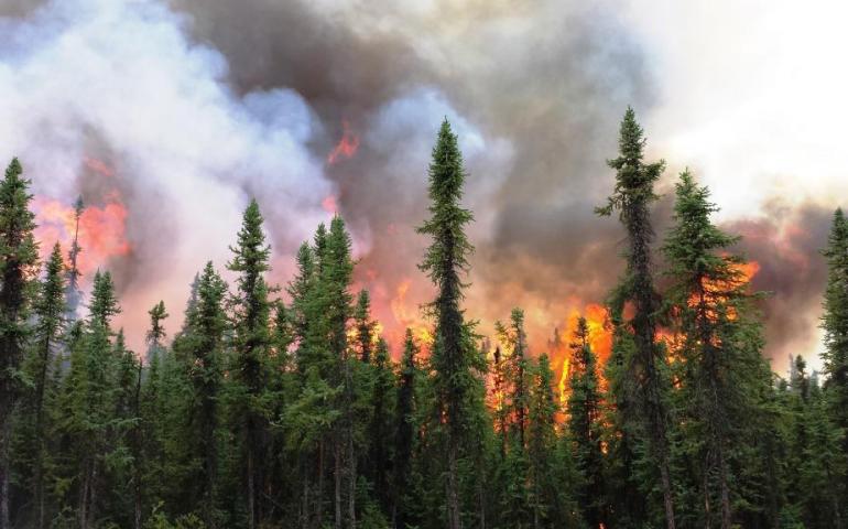 Photo by Holly Krake The Aggie Creek Fire burns northwest of Fairbanks during a busy wildfire season in 2015.