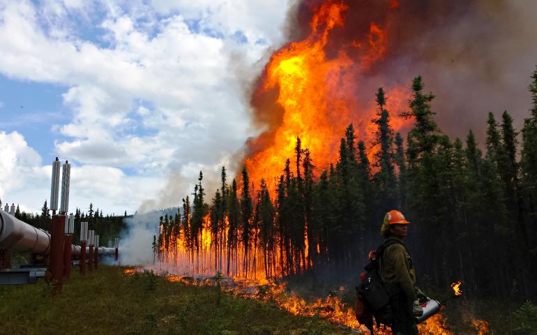 Firefighters conduct a burnout operation along the trans-Alaska oil pipeline at the Aggie Creek Fire northwest of Fairbanks in 2015. Photo by Phillip Spor