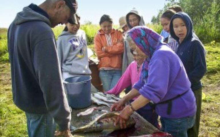 Photo courtesy of the Center for Alaska Native Health Research.