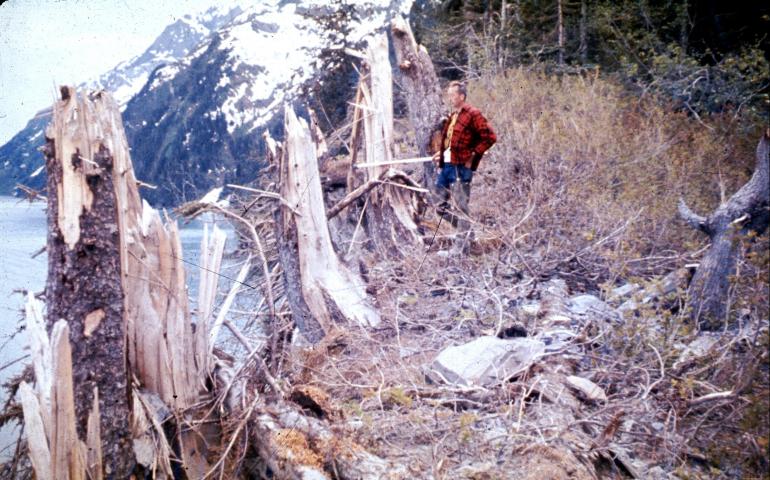 Damage along the coast of Port Valdez from a tsunami associated with the magnitude 9.2 earthquake of March 27, 1964, in Prince William Sound, Alaska. Courtesy of the U.S. Geological Survey.