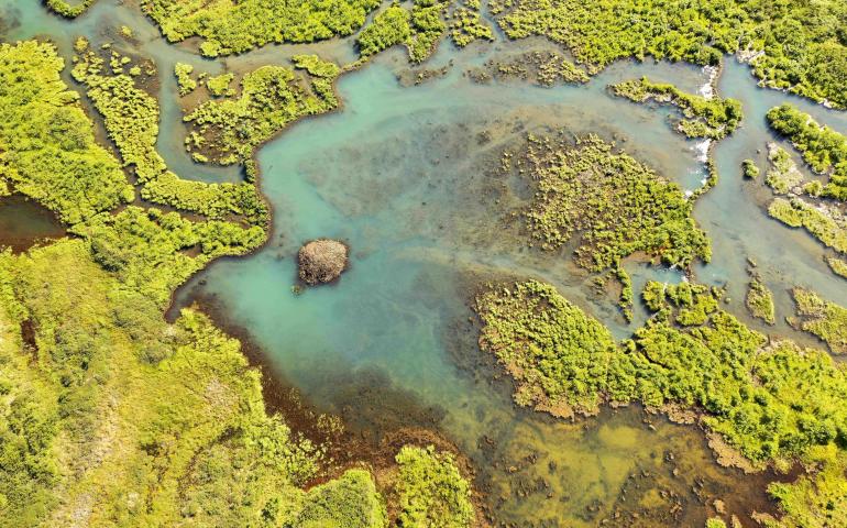A 100-meter beaver dam, left, creates a large beaver pond on the Seward Peninsula in western Alaska. A beaver lodge is visible in the pond in this August 2021 photograph. Photo by Ken Tape.