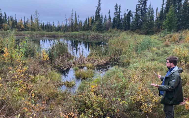 Thaw-driven subsidence can lead to thermokarst and formation of thermokarst ponds and thaw ponds. UAF Ph.D. student Nick Hasson looks at a thaw pond just north of the University of Alaska Fairbanks main campus. It is forming in an area underlain by massive ice wedges. Photo by Louise Farquharson