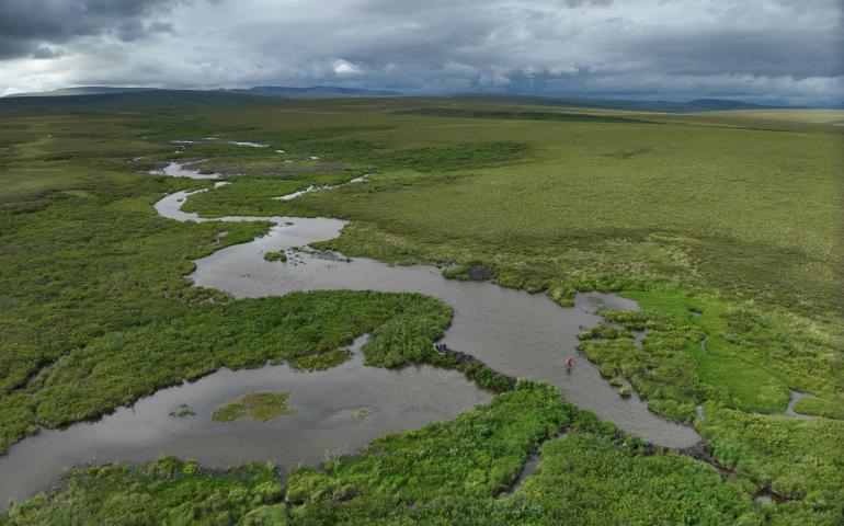  Tom Glass and Rodrigo Rangel navigate a beaver pond on the northern Seward Peninsula in August 2024. Photo by Benjamin Jones