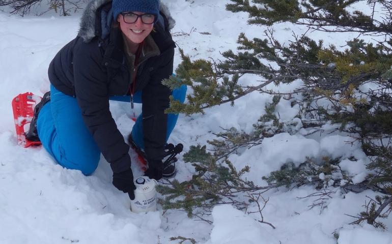 Elizabeth Berg of the University of Utah installs a seismometer on the Denali Fault near Cantwell. Photo by Ned Rozell.