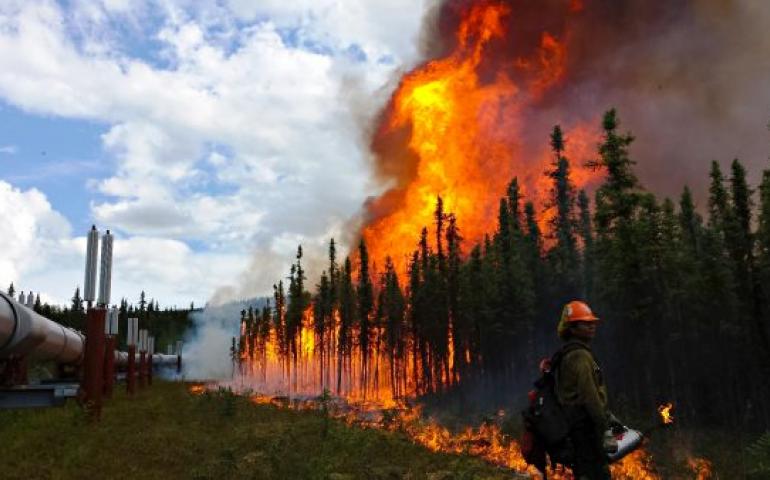 Photo by Phillip Spor Firefighters conduct a burnout operation along the trans-Alaska oil pipeline at the Aggie Creek Fire northwest of Fairbanks in 2015.