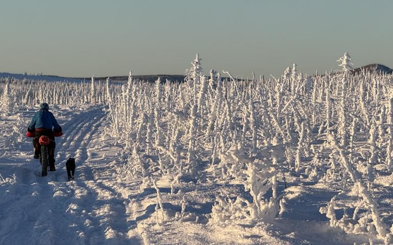Ned Rozell and his dog Cora move uphill on a trip in the White Mountains National Recreation Area in January 2026. Photo by Chris Swingley.
