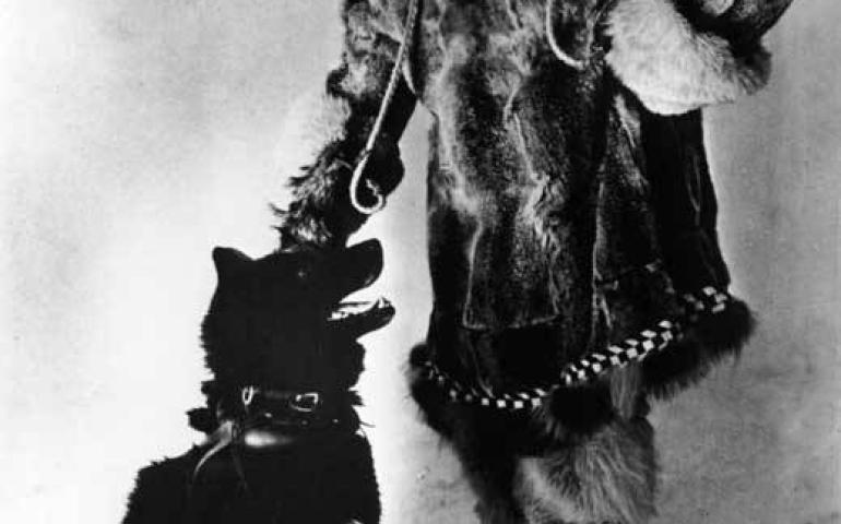 Serum Run musher Gunnar Kaasen poses with Balto, a leader on his mushing team. Alaska State Library Portrait File.
